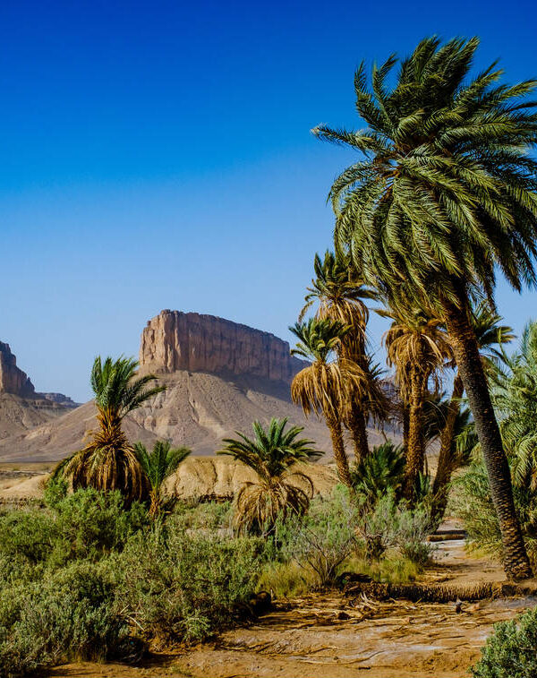 oasis desert foum zguid